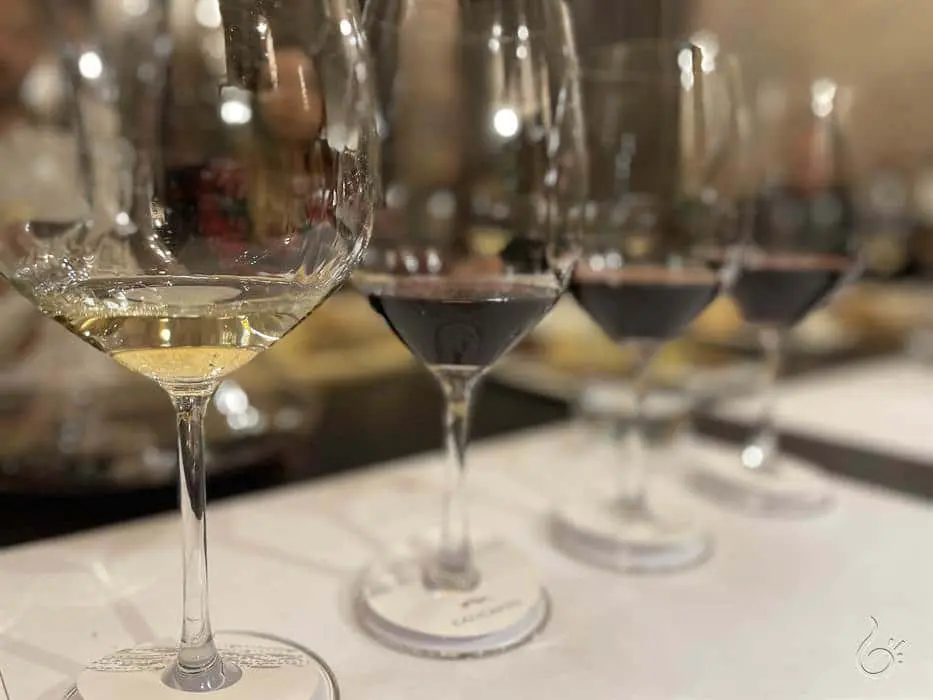 El Principal: uma vinícola para viver a produção do vinho chileno 3 el principal5.jpg