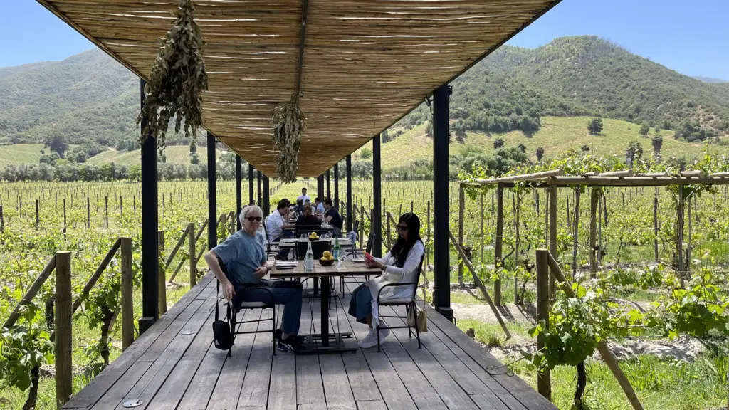 fuegos de Apalta54