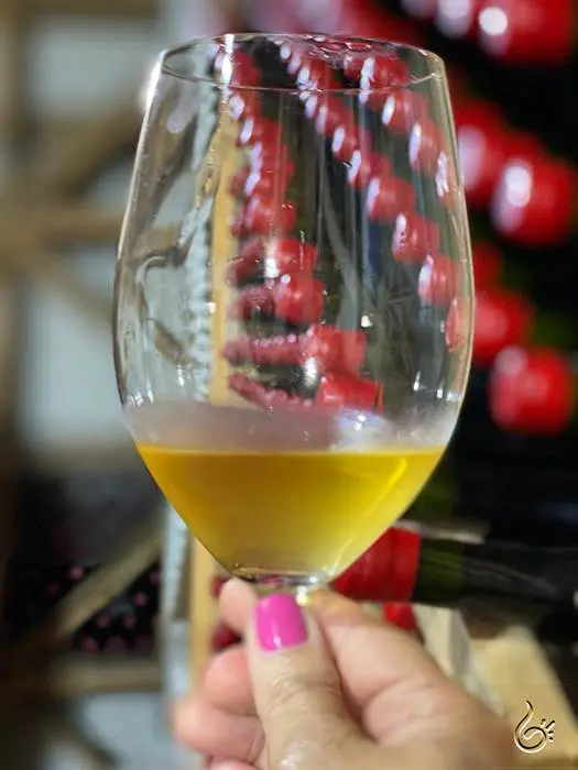 Melhores vinhos chilenos