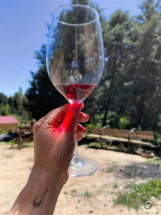 vinhos chilenos2.jpeg