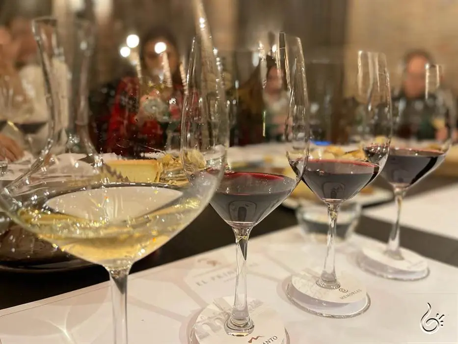 vinhos chilenos5 1.jpeg