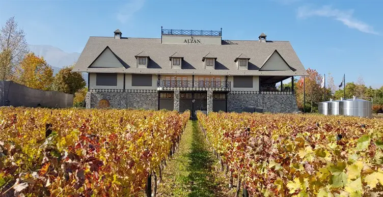 chegada da vinicola Alyan