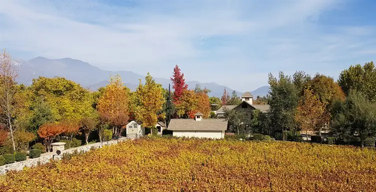 vinicola Alyan840.jpg
