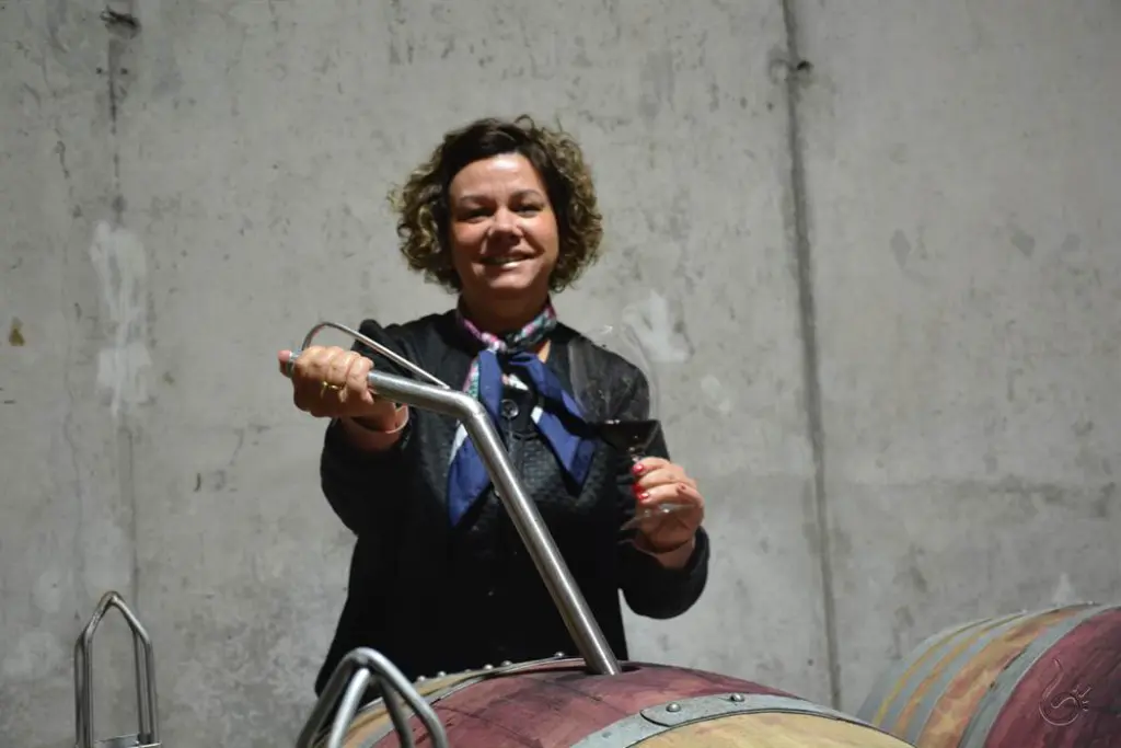 vinicola Perez Cruz46 1