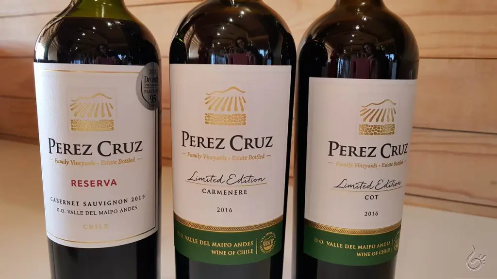 vinicola Perez Cruz48