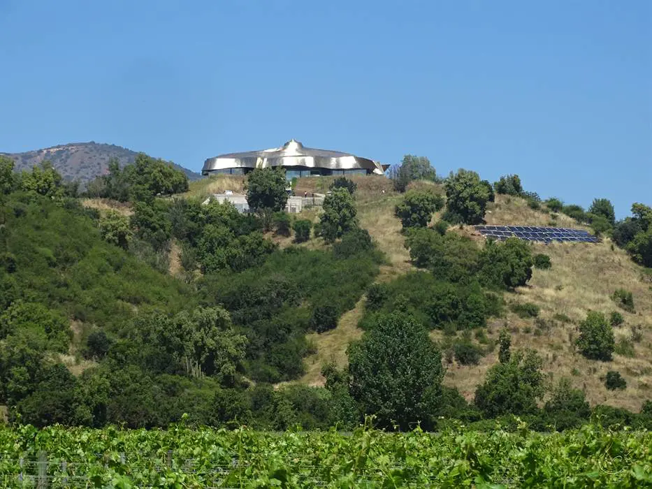 vinicola vik560 2.jpg