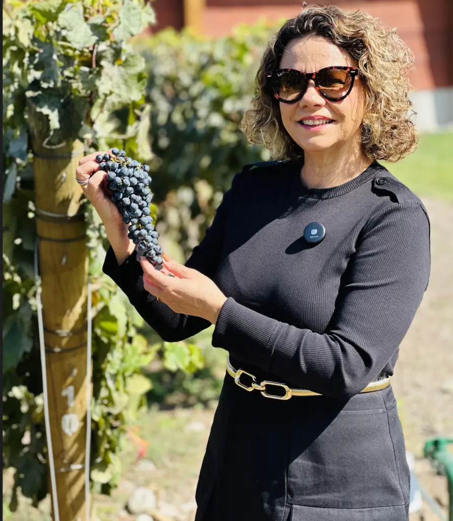 Almaviva - tour e degustação na vinícola mais requintada do Chile 3 Vinicola Almaviva4