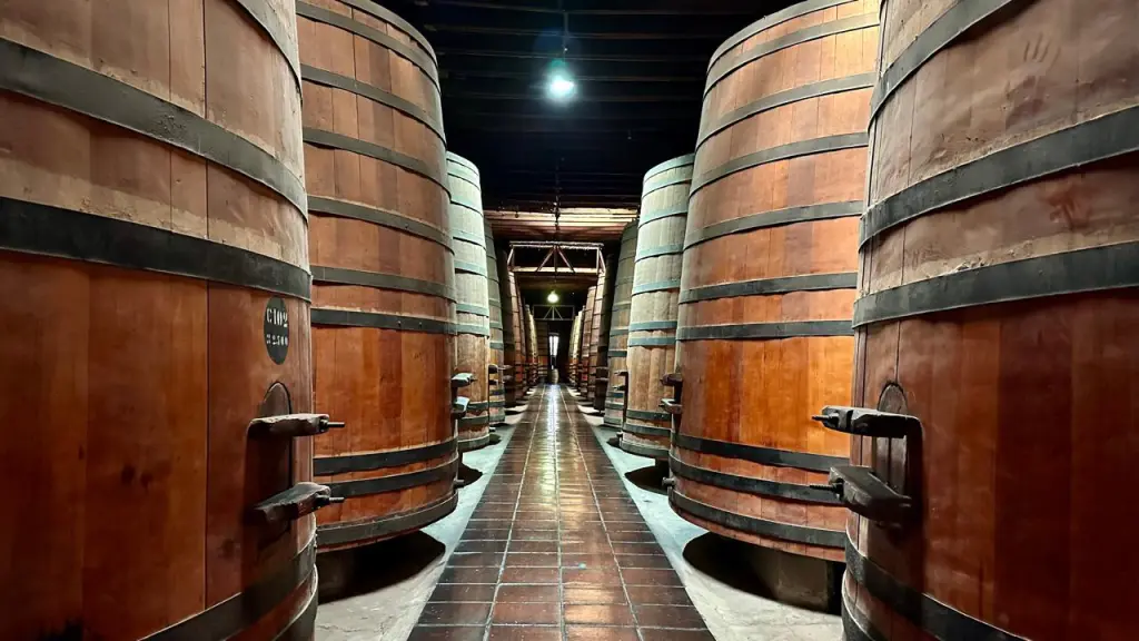Cousiño Macul: como visitar a vinícola mais fácil de chegar em Santiago 3 Cousino Macul2