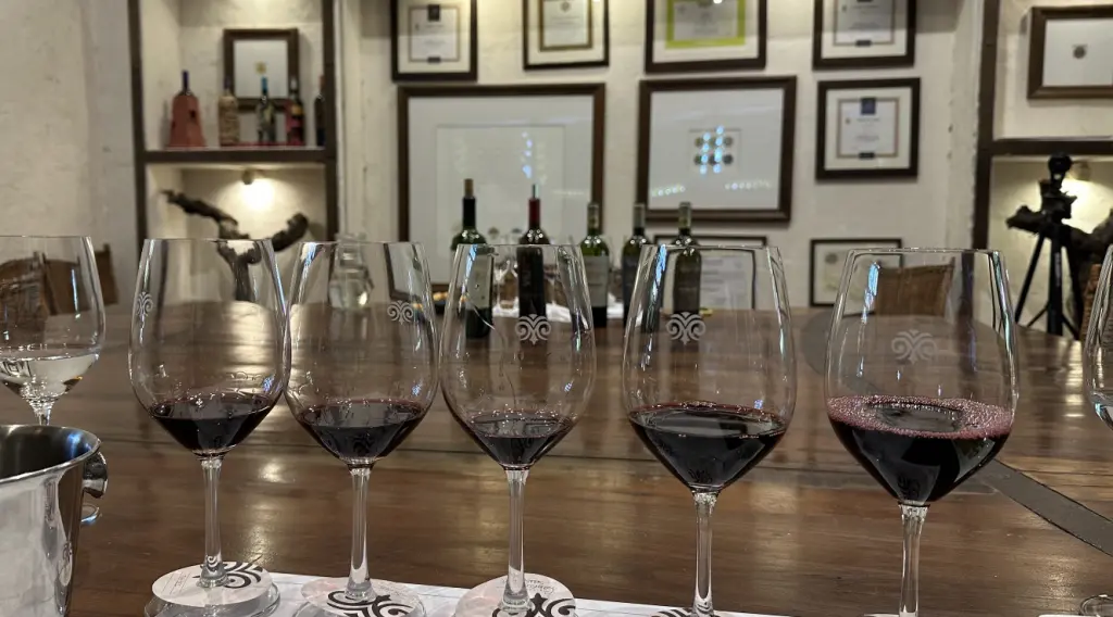 Roteiro romântico: final de semana entre vinícolas no Valle de Colchagua 4 Viu Manent Colchagua21