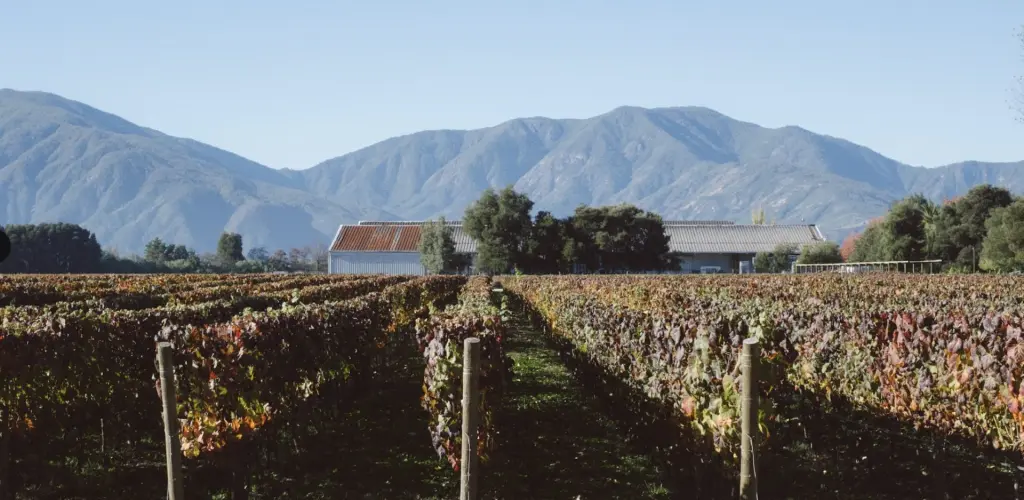 Fim de Semana: Valle de Colchagua com crianças 2 Colchagua com criancas 5