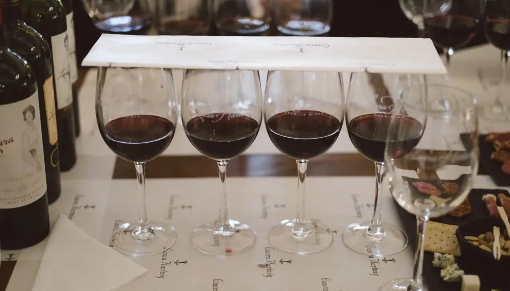 Fim de Semana: Valle de Colchagua com crianças 3 Colchagua com criancas 8