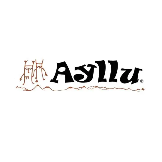 Agências de viagem para o Chile - Como escolher a melhor para brasileiros 5 Logo Ayllu preview 1.jpg