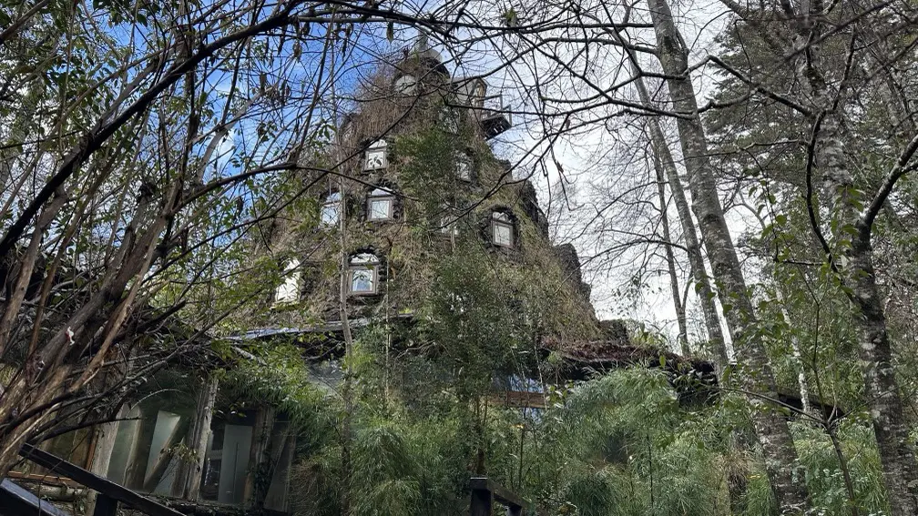 Hotel Nothofagus: nossa experiência em Huilo Huilo, na Patagônia Chilena 2 Nothofagus Huilo Huilo11.jpg