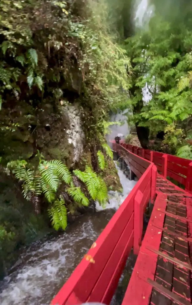 Termas Geométricas