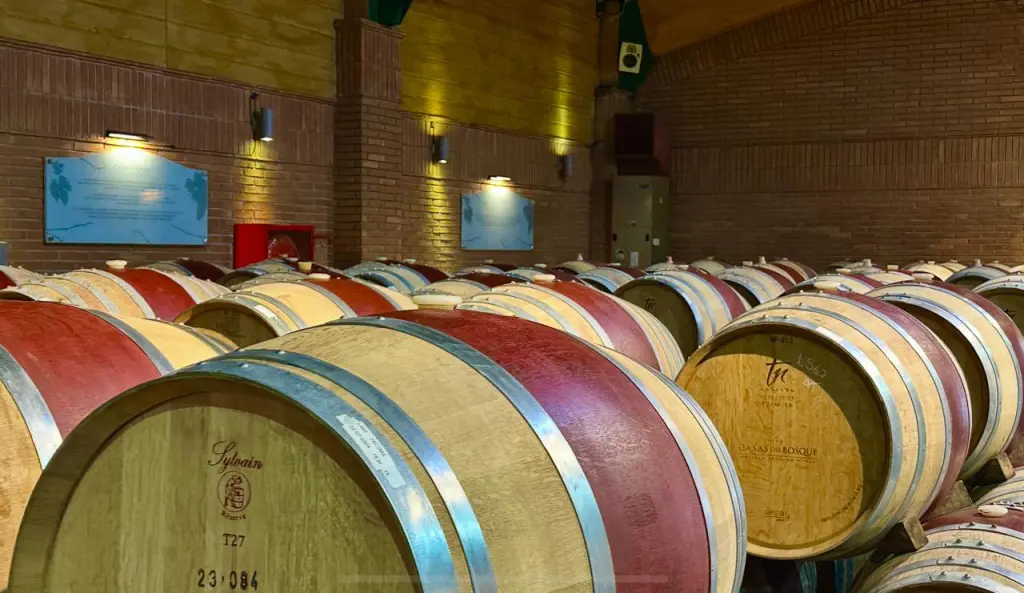 Casas del Bosque no Vale de Casablanca: tour, degustação e restaurante Tanino 2 Vinicola Casas del Bosque6