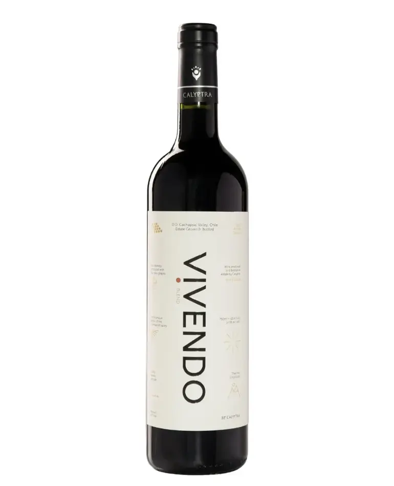Vinhos chilenos10.jpg