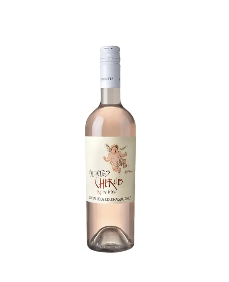 Vinhos chilenos11.jpg