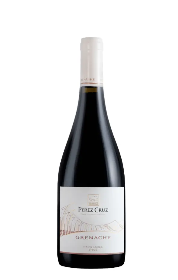 Vinhos chilenos3.jpg