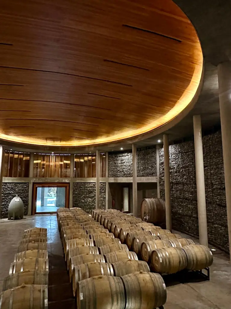 Vinicola Matetic Chile2