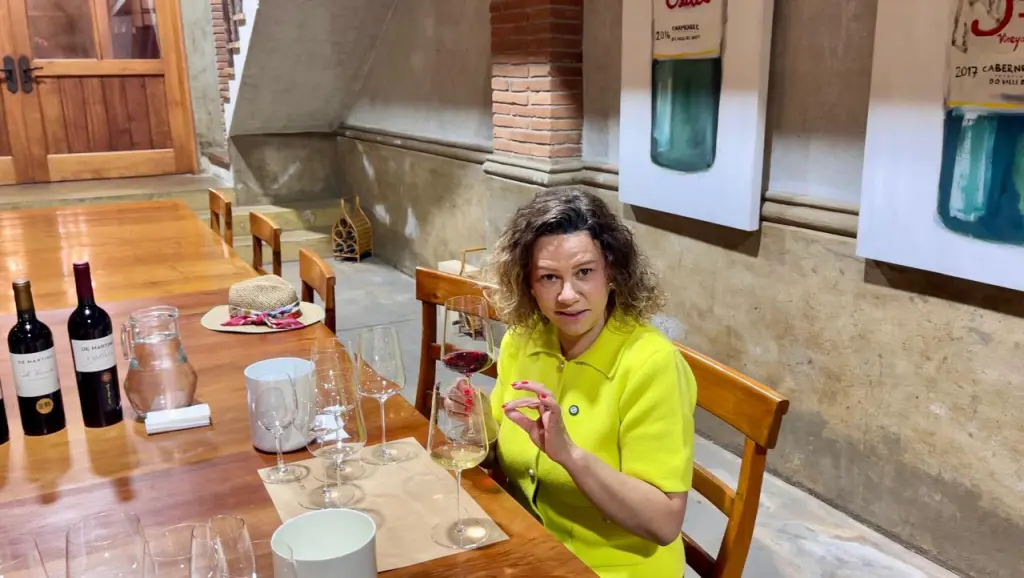 Vinícola De Martino: vinhos naturais e experiência imperdível pertinho de Santiago 3 Degustação De Martino