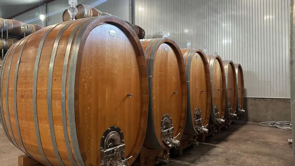 Vinícola De Martino: vinhos naturais e experiência imperdível pertinho de Santiago 2 Vinicola De Martino3