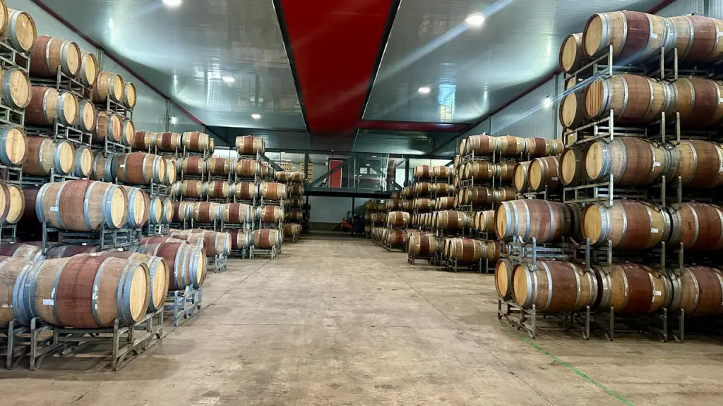 Vinícola De Martino: vinhos naturais e experiência imperdível pertinho de Santiago 5 Vinicola De Martino4