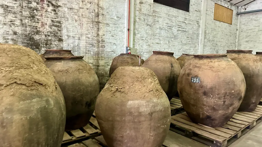 Vinícola De Martino: vinhos naturais e experiência imperdível pertinho de Santiago 1 vinícola De Martino
