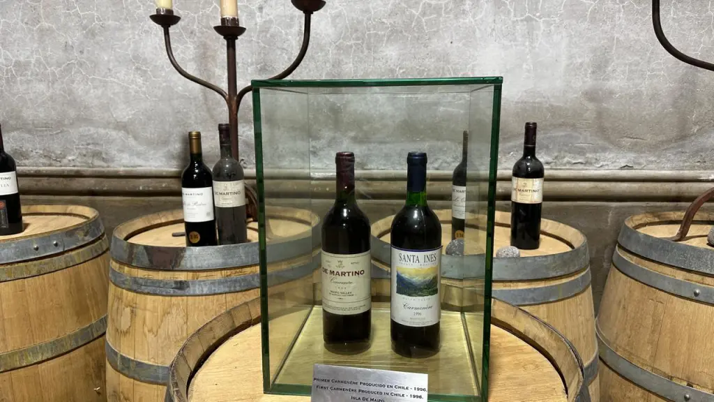 Vinícola De Martino: vinhos naturais e experiência imperdível pertinho de Santiago 4 Vinicola De Martino6