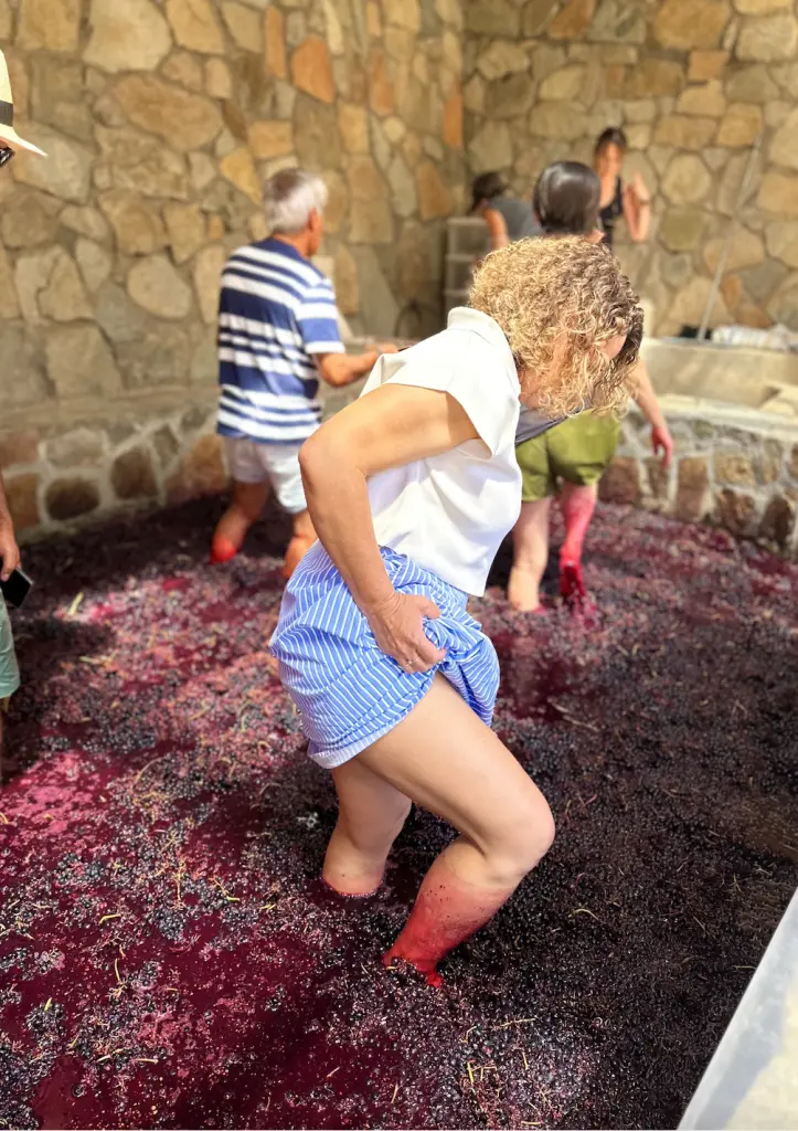 7 experiências mais sensacionais que já vivemos no Chile: emoção e aventura 2 Vinícola Alcohuaz Valle de Elqui