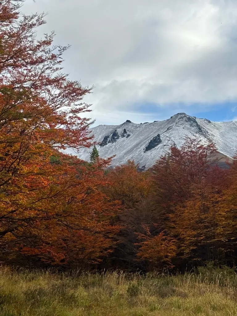1ª Expedição Nós no Chile na Carretera Austral (vagas limitadas) 4 Carretera Austral outono3