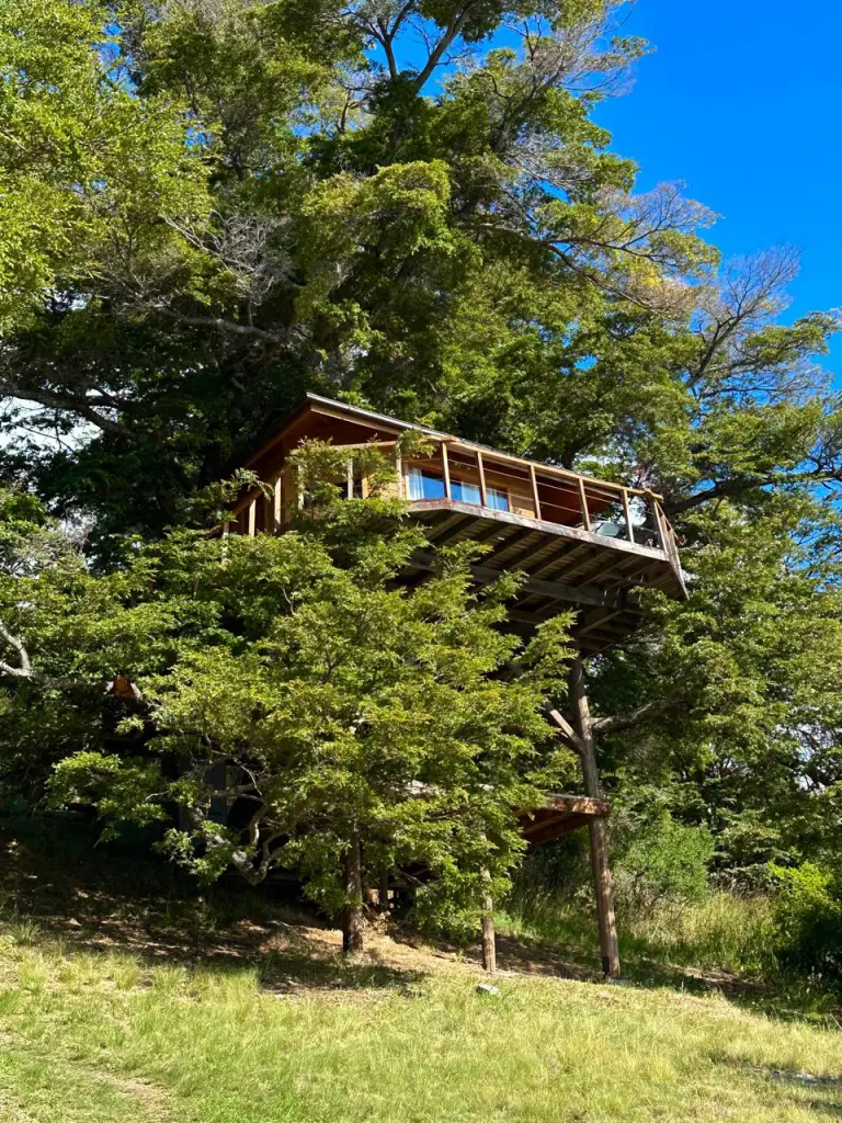 Roteiro de 5 dias na Carretera Austral: O que fazer na Patagônia chilena 7 Carretera Austral21