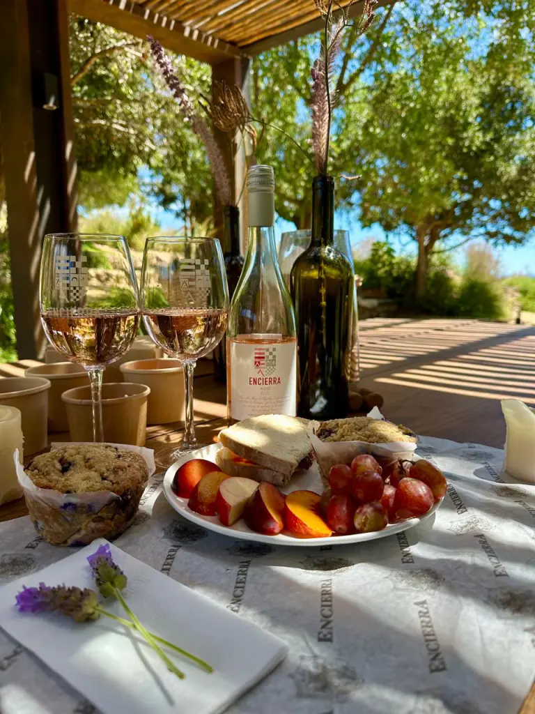 Vinicola Encierra7