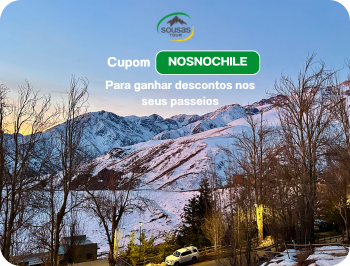 Banner Sousas 1.png