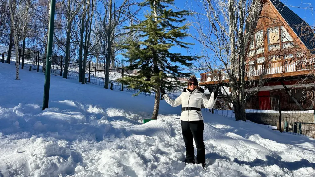 Neve no Chile 5