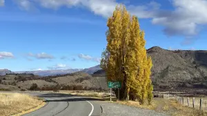 Aluguel de carro na Carretera Austral: tudo o que você precisa saber