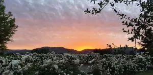 Valle de Colchagua