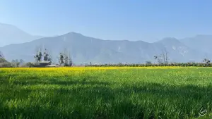 Seguro viagem para brasileiros no Chile - Como escolher o melhor plano?