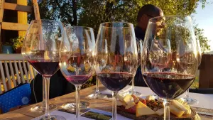 tacas de vinho em vinicola do Valle Colchagua